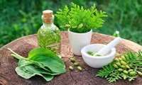 افزایش کم‌سابقه صدور مجوز مواد اولیه داروهای سنتی